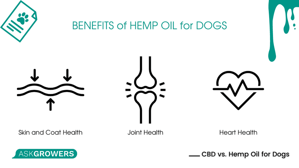 Is Hemp Oil the Same as CBD Oil for Dogs? Main Differences AskGrowers